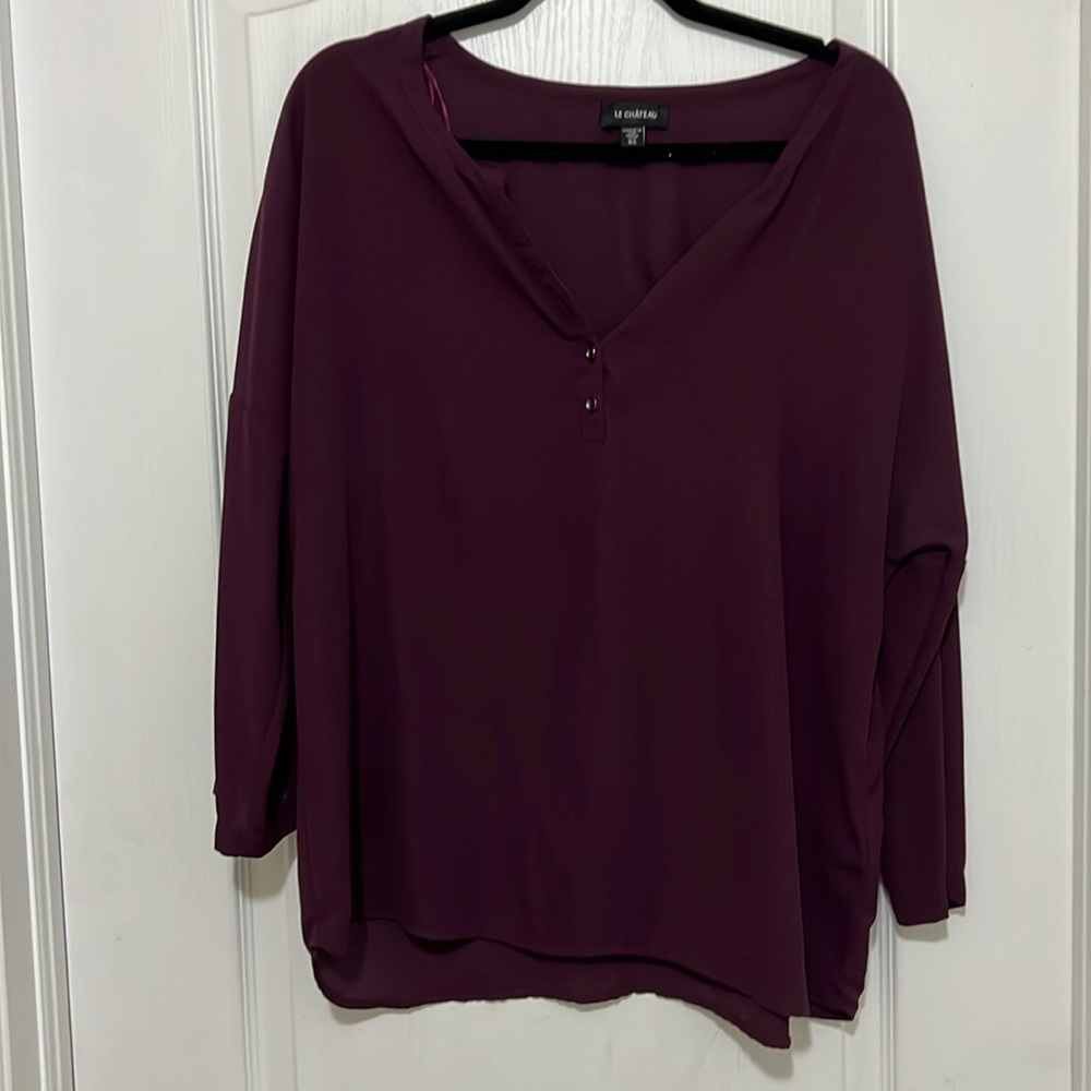 Le Château sheer Blouse